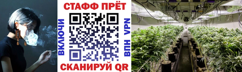 Хочу наркоту Макарьев Амфетамин  Бошки Шишки  Псилоцибиновые грибы  ГАШИШ  Меф  Кокаин  A-PVP 