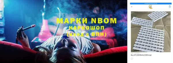 сатива Баксан
