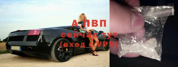 сатива Баксан