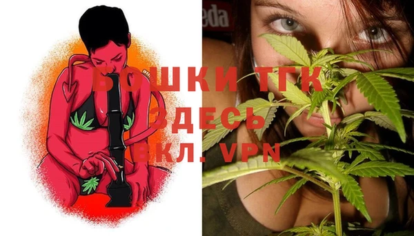 сатива Баксан