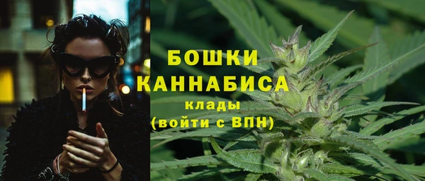 сатива Баксан