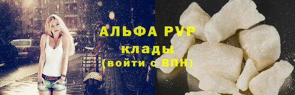 сатива Баксан